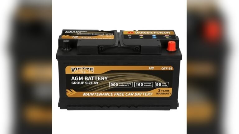 Best Battery for Bmw 335I